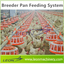 Система кормления цыплят серии леон для птицефабрики
